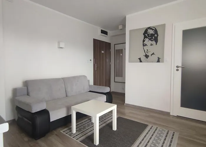 Appartement 511 W Balic Cliff